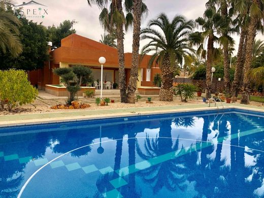단독 저택 / Elche, Provincia de Alicante