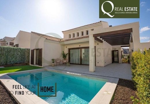 Detached House in Algorfa, Alicante