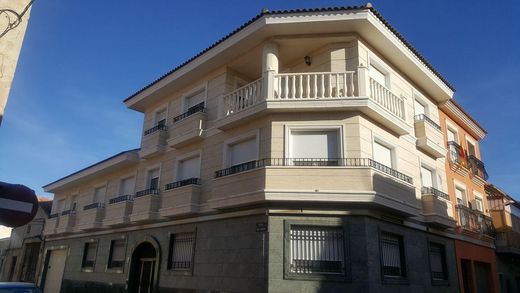 Luxus-Haus in Novelda, Alicante