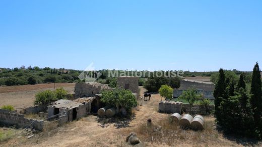 Rural or Farmhouse in Muro, Province of Balearic Islands