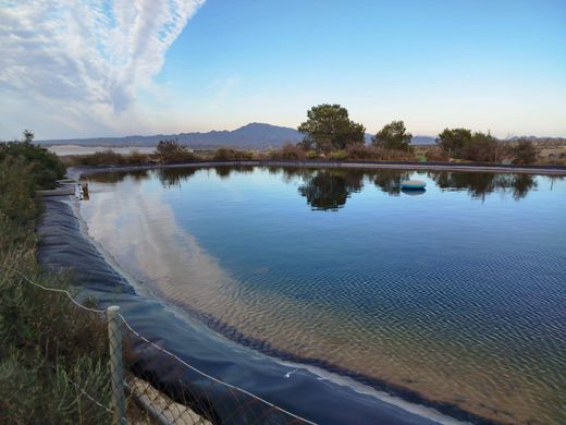 Rustik ya da çiftlik Mazarrón, Murcia