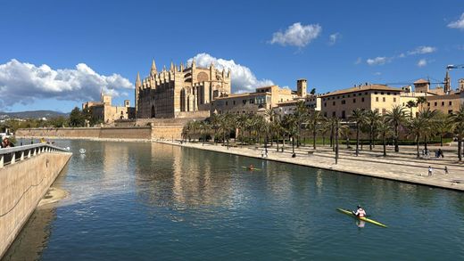 Участок, Пальма-де-Майорка, Illes Balears