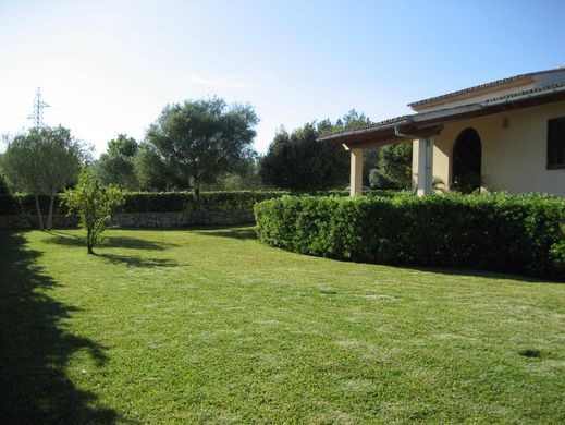 村舍/农舍  Muro, Illes Balears