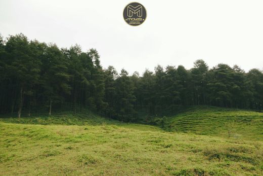 Grundstück in Estepona, Málaga