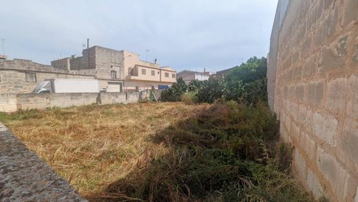 Участок, Манакор, Illes Balears