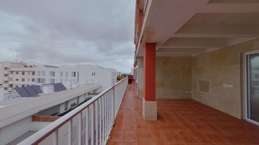 Daire Palma de Mallorca, Illes Balears