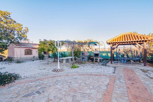 Detached House in Fuente Vaqueros, Granada