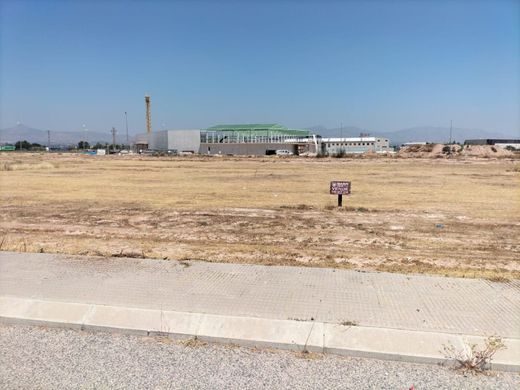 Arsa Cox, Provincia de Alicante