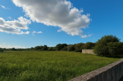 Teren w Santa Margalida, Illes Balears