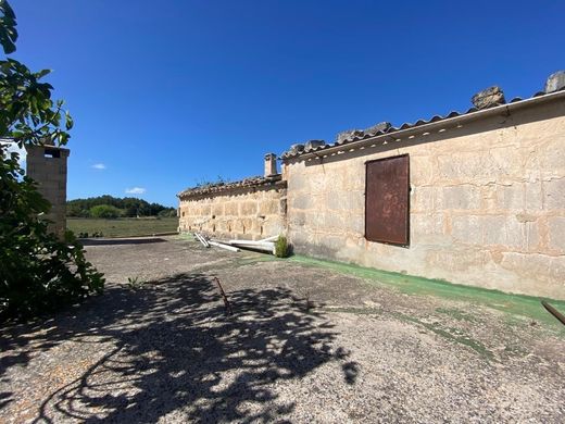 Muro, Illes Balearsのカントリー風またはファームハウス