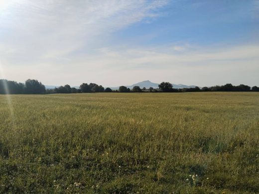 Участок, Felanitx, Illes Balears