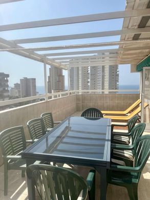 Apartamento - Benidorm, Provincia de Alicante