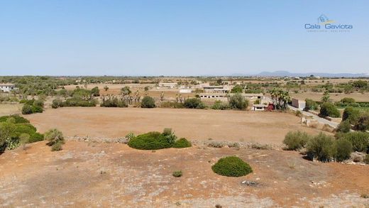 Land in ses Salines, Province of Balearic Islands