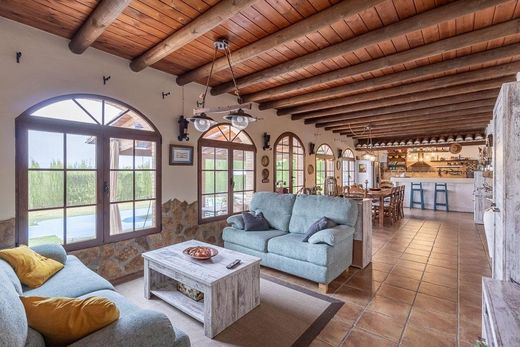 Rural or Farmhouse in Moraleda de Zafayona, Granada