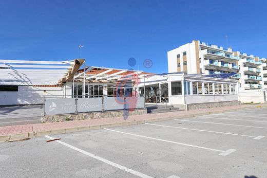 Terreno a Guardamar del Segura, Provincia de Alicante