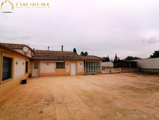 Maison individuelle à Elx, Alicante