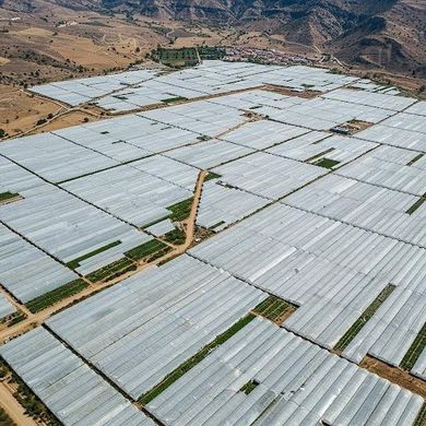 Terreno en Níjar, Almería