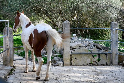 Rustik ya da çiftlik Inca, Illes Balears