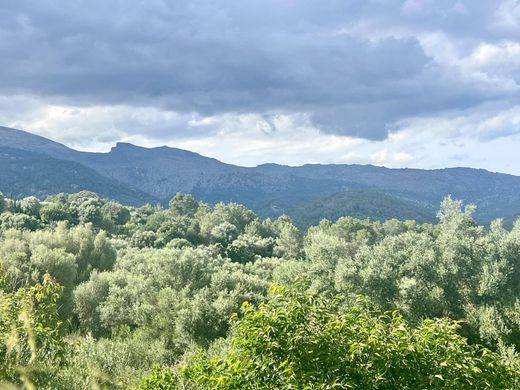 Land in Campanet, Province of Balearic Islands