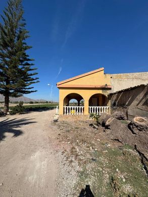 Lüks ev Granja de Rocamora, Provincia de Alicante