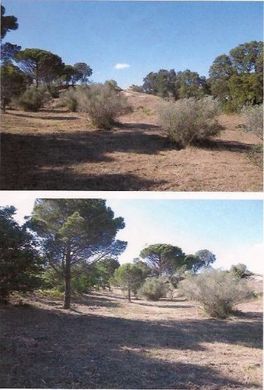 Vilajuïga, Província de Gironaの土地