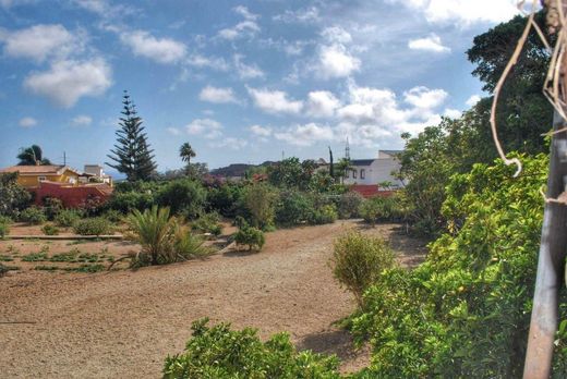 ‏בתים כפריים או חוות ב  San Miguel De Abona, Provincia de Santa Cruz de Tenerife