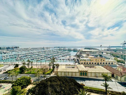 Daire Alicante, Provincia de Alicante