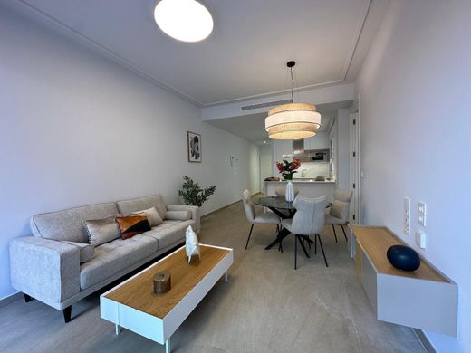 Apartment in Torrevieja, Alicante