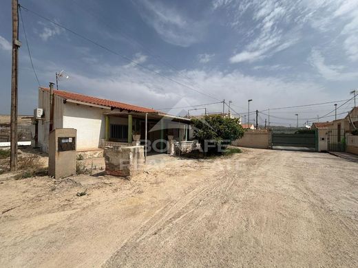 Αγροτεμάχιο σε El Campello, Provincia de Alicante