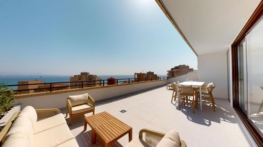 Penthouse in Arenales del Sol, Alicante