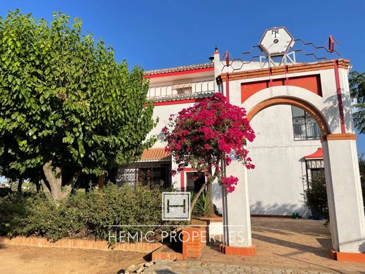 Luxury home in Villanueva del Ariscal, Province of Seville