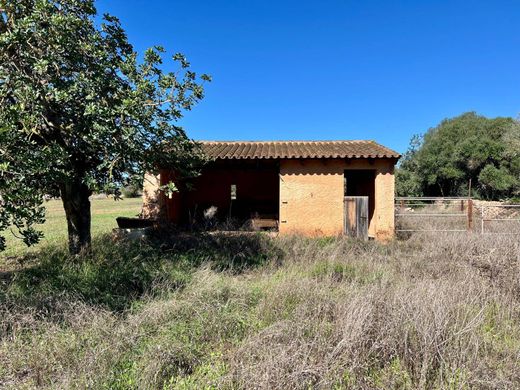 Land in Campos, Province of Balearic Islands