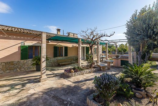 Ρουστίκ ή Αγροικίες σε Πάλμα, Illes Balears