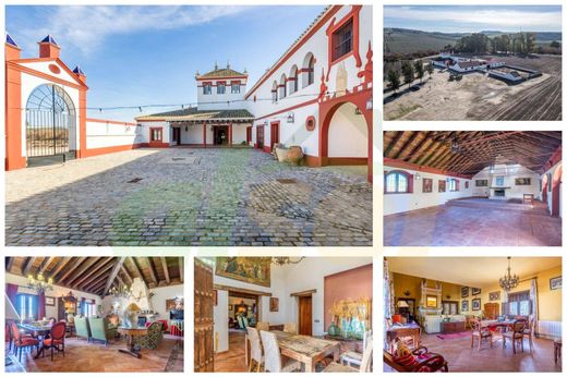 Rural or Farmhouse in La Puebla de Cazalla, Province of Seville