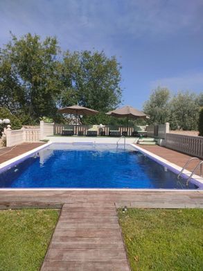 Luxury home in Illescas, Province of Toledo