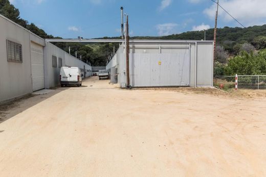 토지 / Mataró, Província de Barcelona