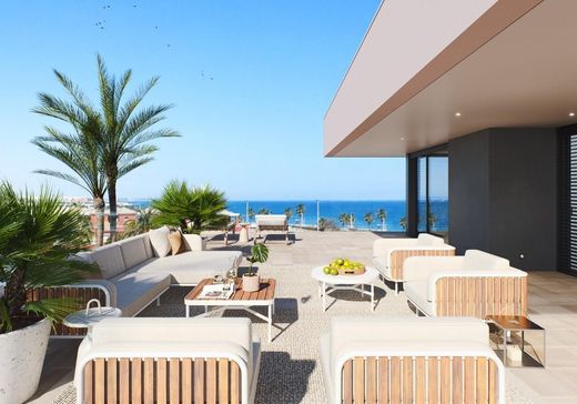 Villa in Pilar de la Horadada, Alicante