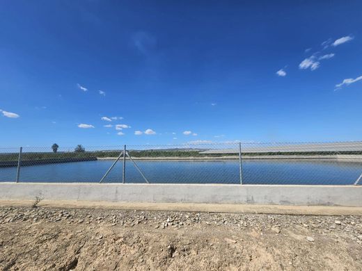 Grundstück in Los Montesinos, Alicante