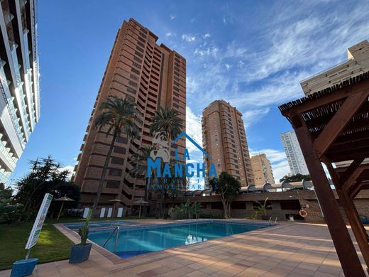 Apartment in Benidorm, Alicante