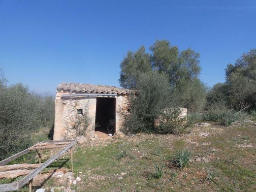 ‏בתים כפריים או חוות ב  Costitx, Illes Balears