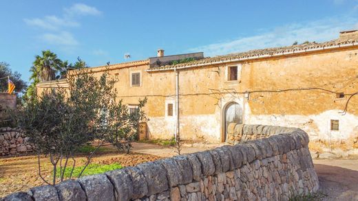 Усадьба / Сельский дом, Ses Salines, Illes Balears
