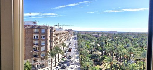 Apartamento - Elx, Provincia de Alicante