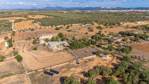 村舍/农舍  Campos, Illes Balears