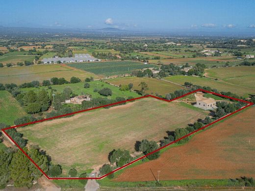 Landhaus / Bauernhof in Felanitx, Balearen Inseln