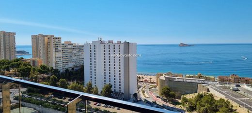 Appartement in Benidorm, Provincia de Alicante