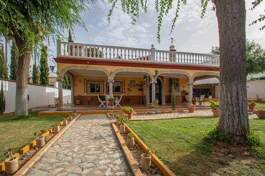 Maison individuelle à Alcalá de Guadaira, Séville