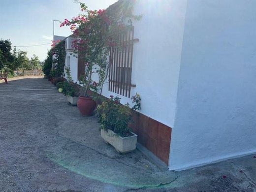 Córdoba, コルドバのカントリー風またはファームハウス