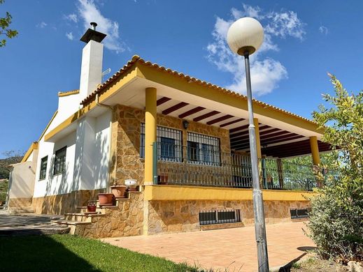 Detached House in Sax, Province of Alicante