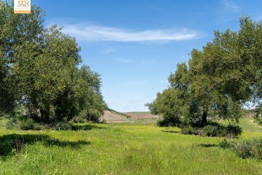 전원/농가 / El Bosque, Provincia de Cádiz