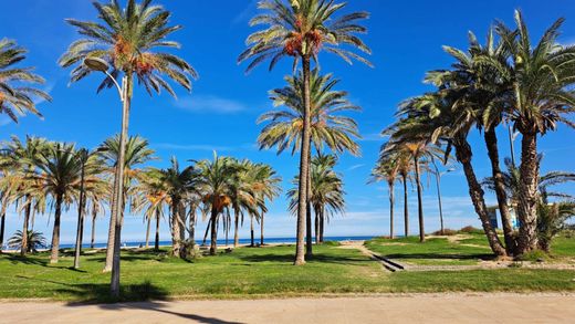 단독 저택 / Valencia, Província de València